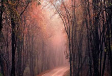 J9九游会官网：维尼修斯国家队36场进5球5助 皇马36场24球11助.