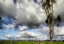 J9九游会官网：“环法自行车赛将引入女性组别，促进性别平等”.