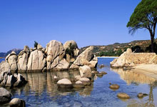 J9九游会官网：“环法自行车赛将引入女性组别，促进性别平等”.